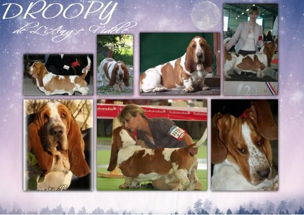 DROOPY nous a quitté