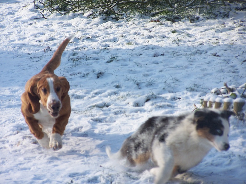 Jeux dans la neige